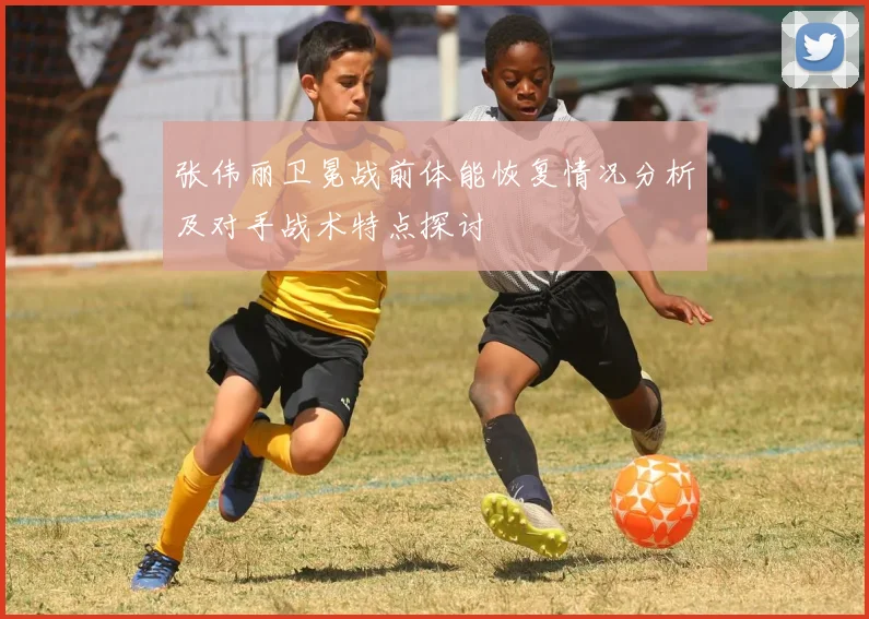 张伟丽卫冕战前体能恢复情况分析及对手战术特点探讨